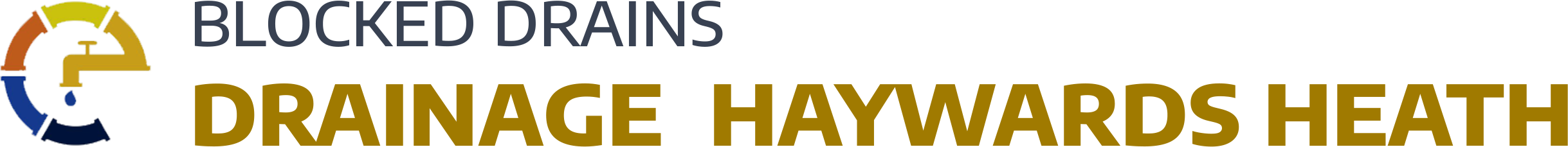 website logo